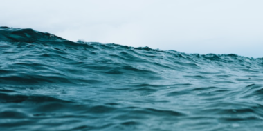 Закон в области водных отношений в Псковской области приняли депутаты - 2025-05-01 20:05:00 - 2