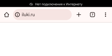 Великолучане жалуются на отсутствие мобильного интернета - 2025-06-16 12:46:00 - 3