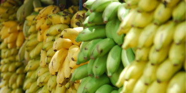 Бананы вошли в перечень отечественной сельхозпродукции - 2025-07-07 19:05:00 - 2