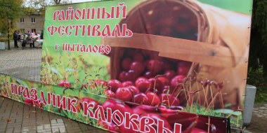 В Псковской области пройдет «Праздник клюквы» - 2025-09-11 16:35:00 - 2