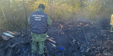 Три человека погибли на пожаре в Себежском районе - 2025-09-26 13:35:00 - 2