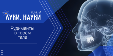 «Луки.Науки» расскажет о ненужных частях тела - 2025-10-30 17:35:00 - 2 «Луки.Науки» расскажет о ненужных частях тела - 2025-10-30 17:35:00 - 2