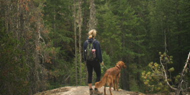 Стартовал Всероссийский конкурс видео-эссе «Мой Дальний» - 2025-11-15 12:05:00 - 2