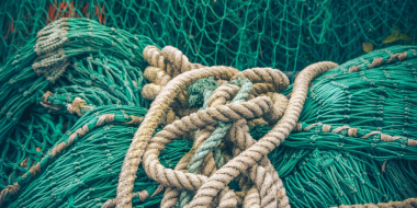 Под суд попали два браконьера из Стругокрасненского района - 2025-11-17 16:05:00 - 2