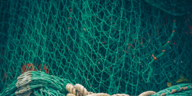 Двух браконьеров из Великих Лук задержали с поличным - 2025-11-28 12:05:00 - 2