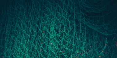 В Гдовском районе поймали браконьера - 2025-12-15 14:35:00 - 2