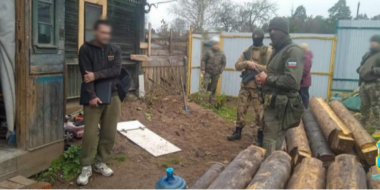 Житель Гдовского района выращивал дома коноплю - 2025-12-18 09:05:00 - 2