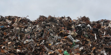 Псковская прокуратура добилась ликвидации свалок в лесу - 2025-12-18 12:35:00 - 2