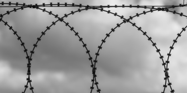 Курьера мошенников заключили под стражу в Острове - 2025-12-19 16:05:00 - 2