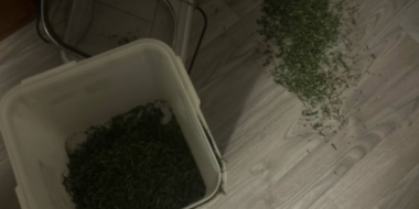 Житель Пыталовского района задержан за хранение наркотиков - 2025-12-23 12:35:00 - 2