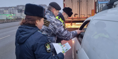 В Пскове прошёл профилактический рейд в рамках акции «В Новый год — без долгов» - 2025-12-24 18:05:00 - 2
