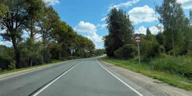 Как избежать встречи с дикими животными на дороге - 2026-01-11 20:05:00 - 2