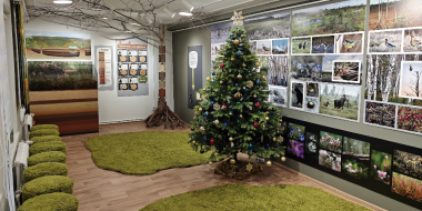 Полистовский заповедник приглашает в обновленный визит-центр - 2026-01-16 11:35:00 - 2