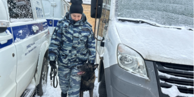 Акция «Студенческий десант» продолжается в Великих Луках - 2026-01-22 11:05:00 - 2