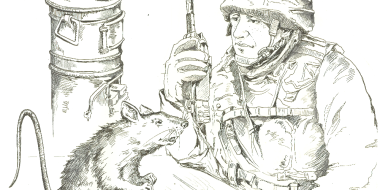 Выставка «Четвероногие герои СВО» откроется в Изборске - 2026-02-04 11:35:00 - 2