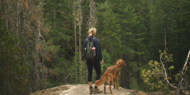 Способы защиты лесов обсудили в правительстве Псковской области - 2026-02-13 13:35:00 - 2