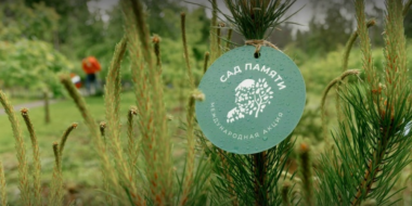 В России стартует акция «Сад Памяти» - 2026-02-28 18:05:00 - 2