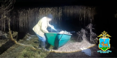 В Опочецком районе задержали браконьера - 2026-04-02 11:35:00 - 2