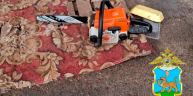 Житель Пустошкинского района незаконно вырубил деревья на 850 тысяч рублей - 2026-04-09 15:05:00 - 2