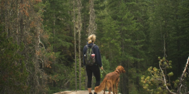 Начался отбор в студенческие экспедиции в Якутию, Тюменскую область и Карелию - 2026-04-12 11:05:00 - 2