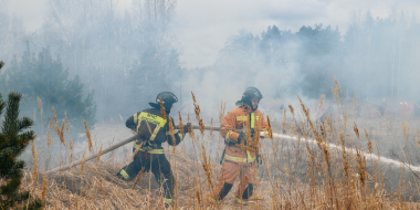 Учения по тушению ландшафтного пожара прошли в Псковском округе - 2026-04-17 15:05:00 - 2