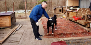 Осужденные исправительного центра помогли зооприюту «Веретье» - 2026-04-22 12:05:00 - 2