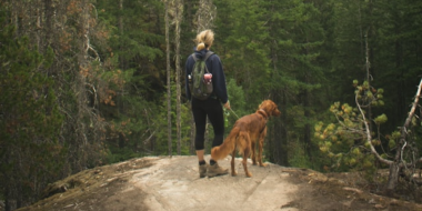Экологические маршруты Псковской области вошли в список лучших экотроп СЗФО - 2026-04-22 11:35:00 - 2