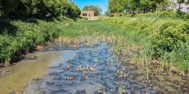 Пешеходную зону и ручей Ситовка приведут в порядок в Великих Луках - 2026-04-27 11:35:00 - 2