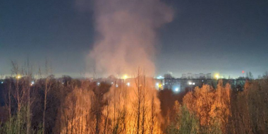 В Псковской области ожидается высокая пожарная опасность - 2026-04-29 11:35:00 - 2