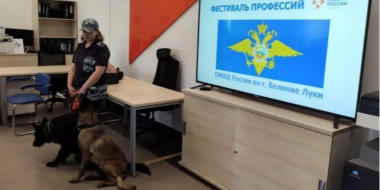 На «Фестивале профессий» полицейские рассказали великолучанам о своей работе - 2026-05-20 14:05:00 - 2