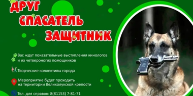 Кинологи и их питомцы выступят для великолучан - 2026-06-16 15:35:00 - 2