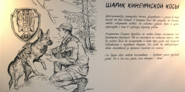 Изборский музей приглашает на встречу с автором книги «Четвероногие герои СВО» - 2026-06-23 11:05:00 - 2