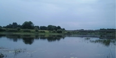 В Островском районе утонул мужчина - 2026-07-28 11:35:00 - 2