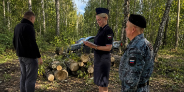 Великолукские приставы взыскали более миллиона рублей за вырубленные деревья - 2026-08-04 13:05:00 - 2