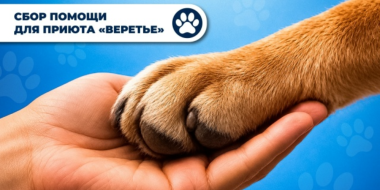 Великолучане могут помочь животным из приюта - 2026-10-06 09:35:00 - 2