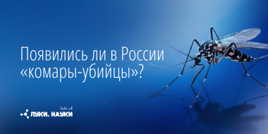 Страшилки о комарах разберем сегодня в «Луки.Науки» - 2026-10-08 17:35:00 - 2
