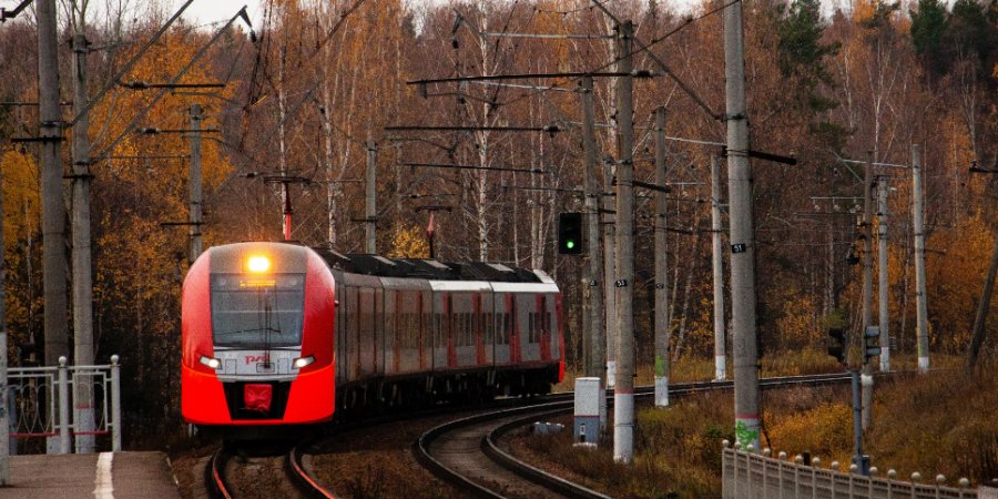 Поезда перестанут ходить из Торопца в Великие Луки до 14 марта