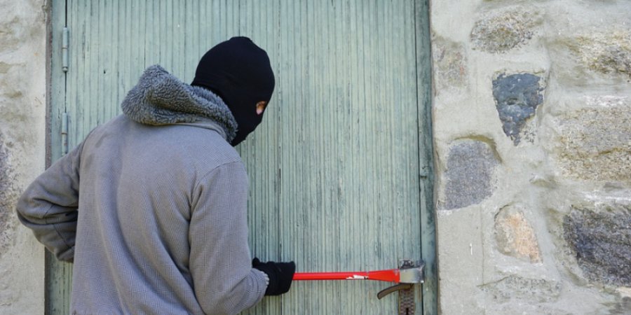 Житель Ленинградской области подозревается в кражах в Плюсском районе