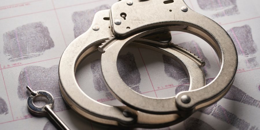 Подозреваемый в краже мужчина задержан в Великих Луках - 2022-08-01 13:05:00 - 1