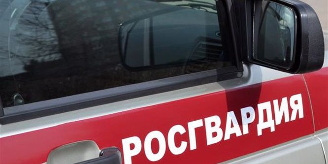 За неделю росгвардейцы Псковской области изъяли 6 единиц оружия - 2022-08-08 16:35:00 - 1