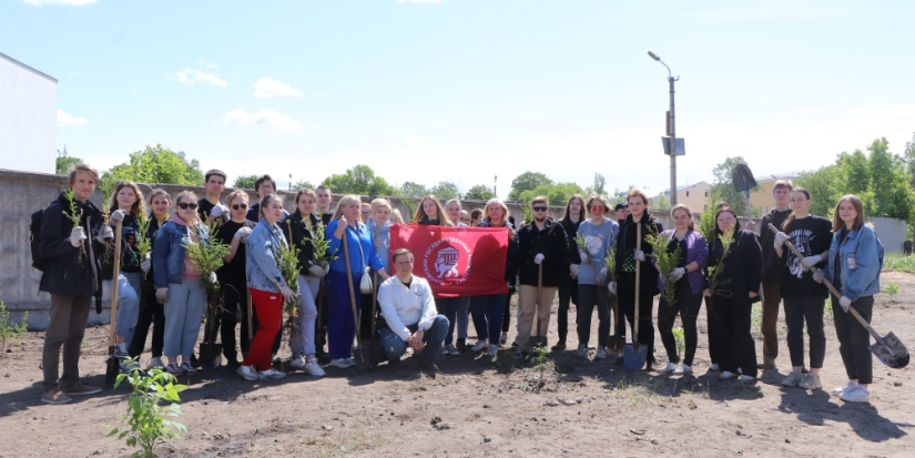 Более 300 деревьев высадили студенты ПсковГУ в рамках акции «Сад памяти» - 2023-06-04 18:05:00 - 1