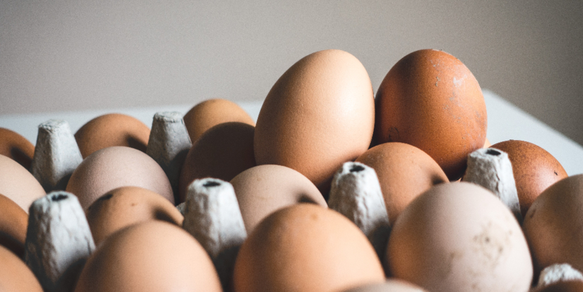 О полном обеспечении рынка яйцами заявил Минсельхоз - 2024-03-26 18:35:00 - 1