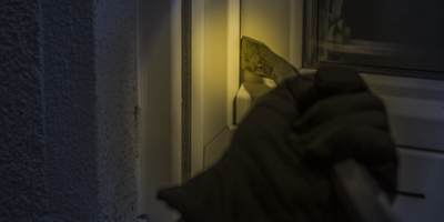 Житель Пушкинских Гор подозревается в совершении серии краж - 2024-04-14 15:05:00 - 1