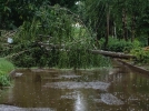 Последствия сильнейшего урагана в Великих Луках - 2021-06-25 23:00:00 - 4