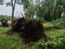 Последствия сильнейшего урагана в Великих Луках - 2021-06-25 23:00:00 - 22