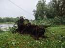 Последствия сильнейшего урагана в Великих Луках - 2021-06-25 23:00:00 - 21