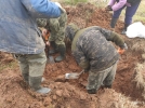 В Великолукском районе поисковики нашли останки четырех солдат - 2021-10-20 10:05:00 - 4