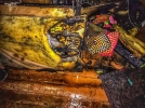 Детская шалость с огнем привела к пожару в Пскове - 2021-10-21 10:35:00 - 4