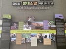 Животных Приморья показали на фотовыставке в Южной Корее - 2021-12-04 20:00:00 - 5