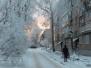 В Великих Луках установилась зимняя погода - 2021-12-08 12:36:00 - 3
